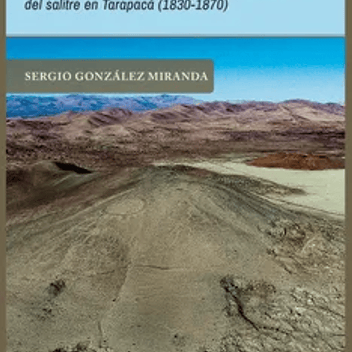 El espejo del desierto. Cateadores y descubridores, gremios y redes de parentesco en el primer impulso de la minería del salitre en Tarapacá (1830-1870) 1