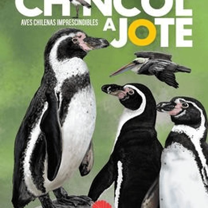 De chincol a jote. Aves chilenas imprescindibles 1