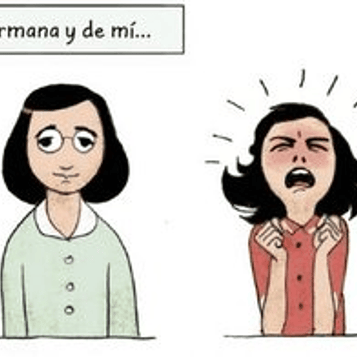 EL DIARIO DE ANA FRANK NOVELA GRÁFICA 3