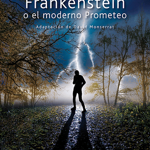 FRANKENSTEIN O EL PROMETEO MODERNO