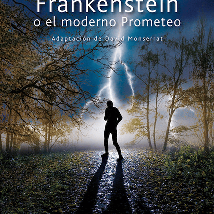 FRANKENSTEIN O EL PROMETEO MODERNO 1