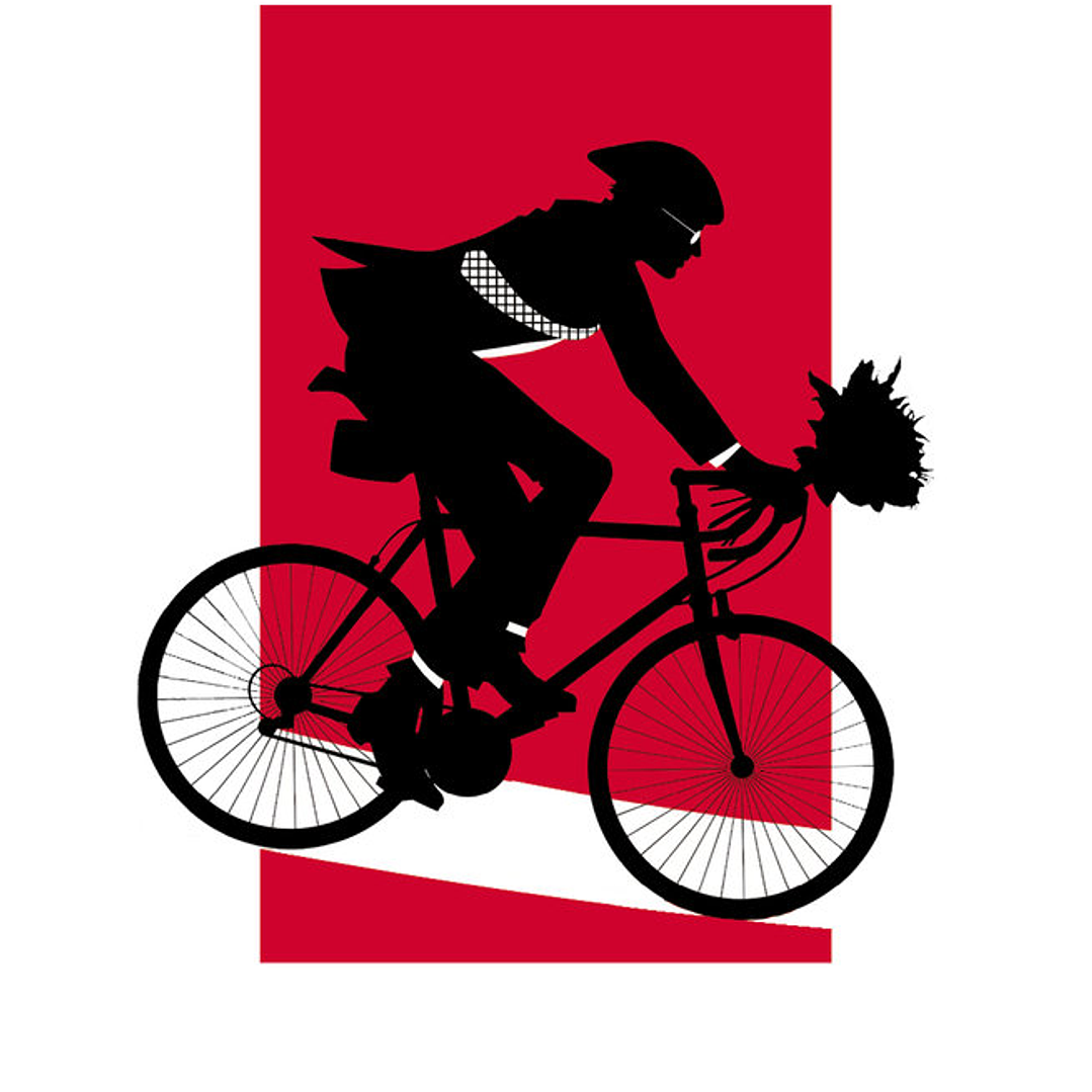 El proyecto esposa 1