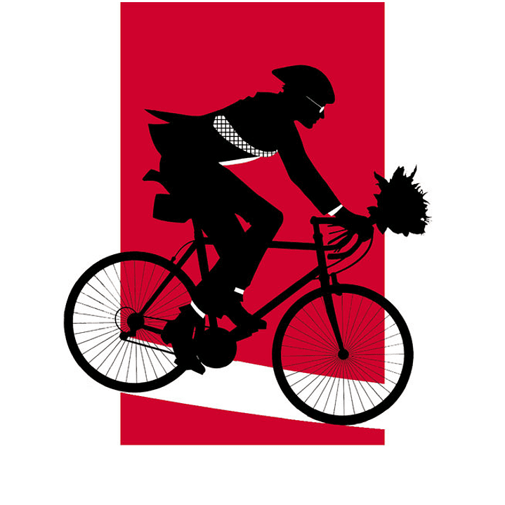 El proyecto esposa 1