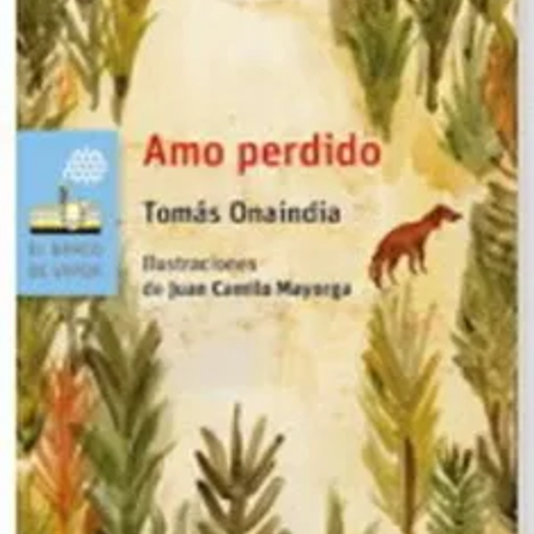 Amo Perdido. Loran 1