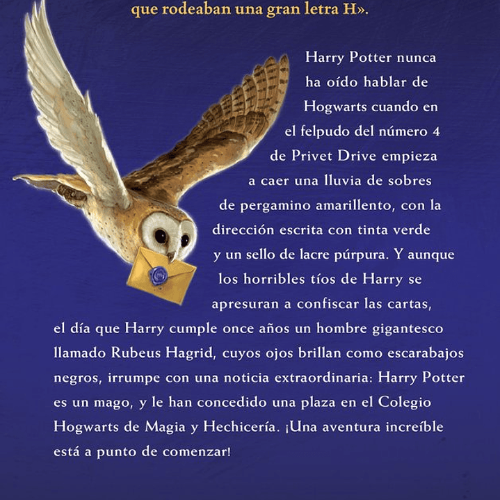 HARRY POTTER 1 LA PIEDRA FILOSOFAL 2