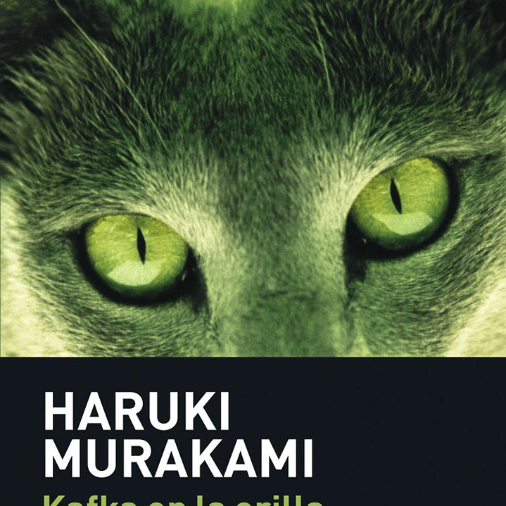 KAFKA EN LA ORILLA MAXI TUSQUETS 1