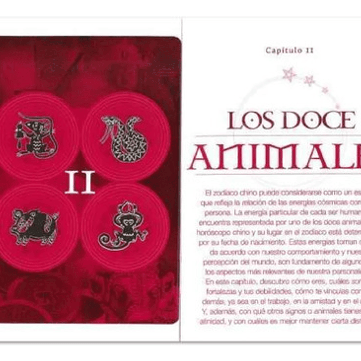 ¿cómo Eres Según La Astrología China? Horóscopo Para Todos Tapa Dura Lexus 3