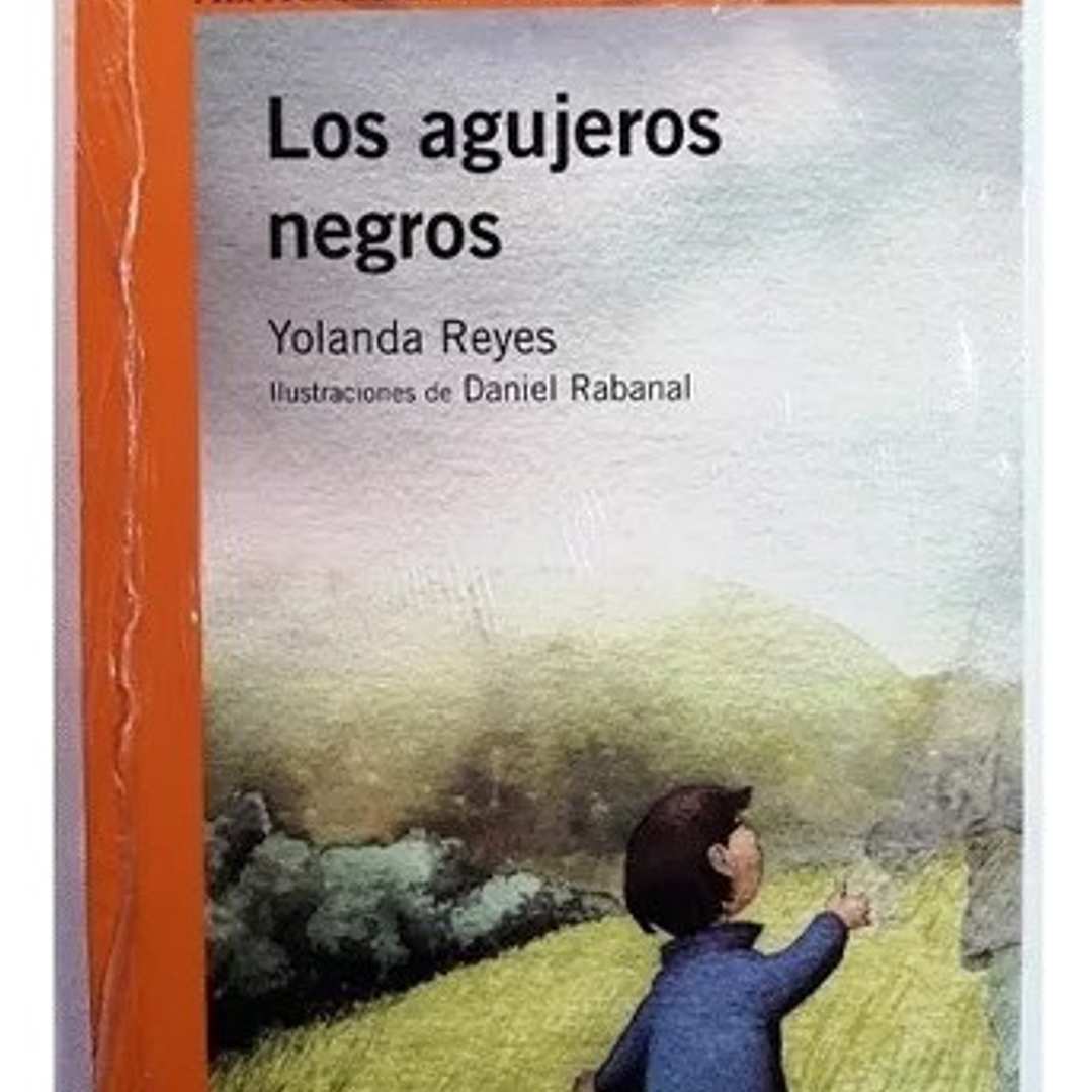 Los Agujeros Negros, De Yolanda Reyes. Editorial Alfaguara, Tapa Blanda En Español 1
