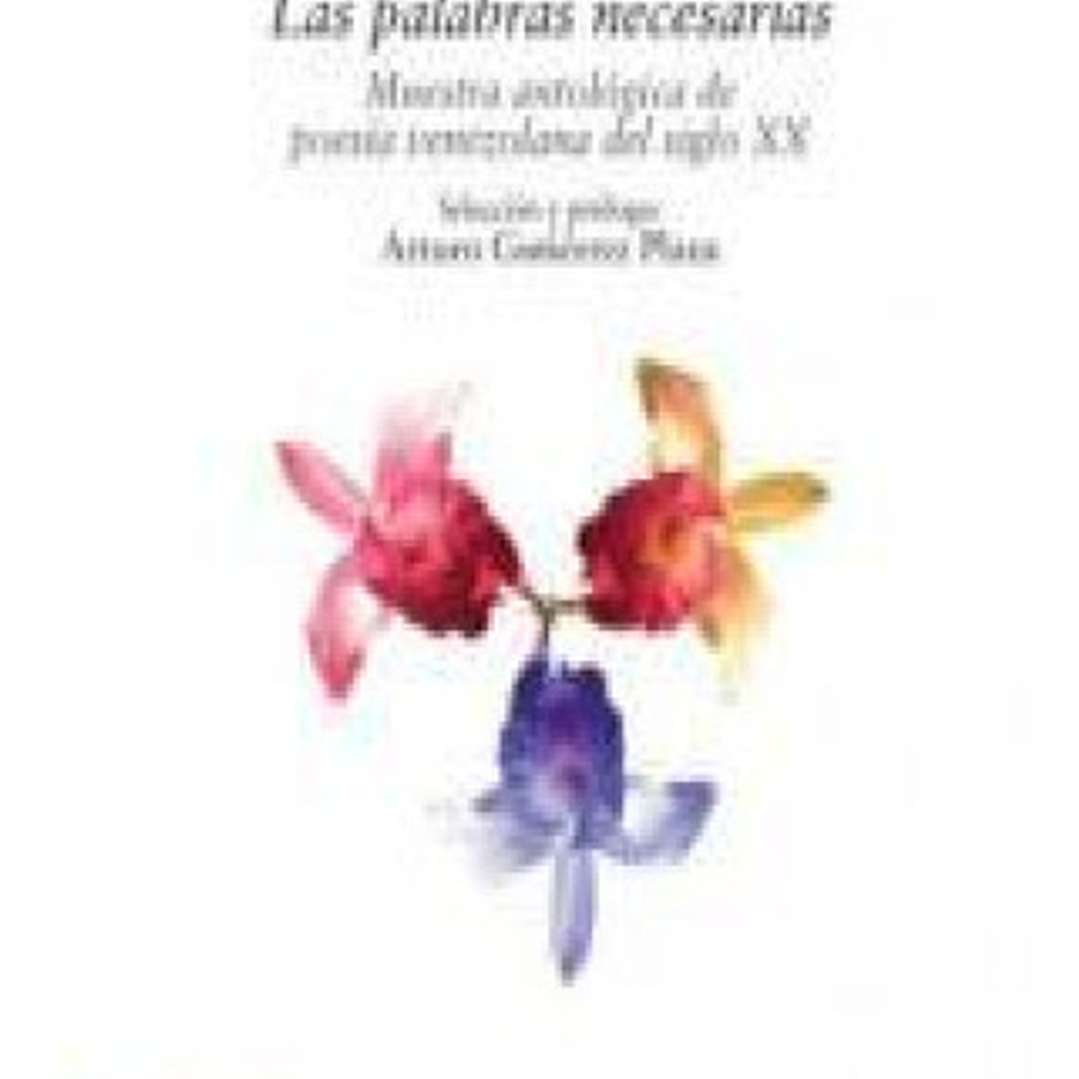 Las Palabras Necesarias 1