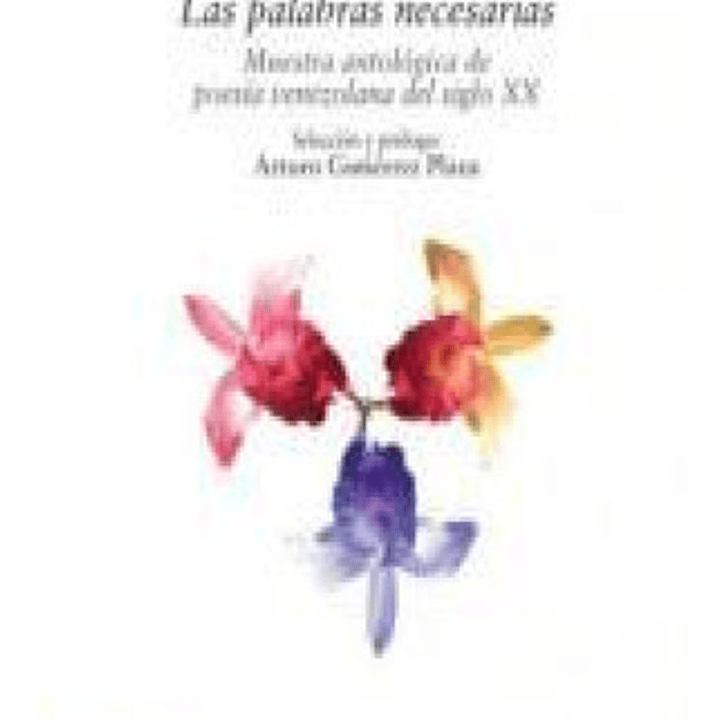 Las Palabras Necesarias 1