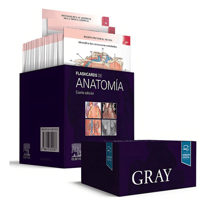 Libro: Gray. Flashcards De Anatomía. Vv.aa.. Elsevier Editor 1