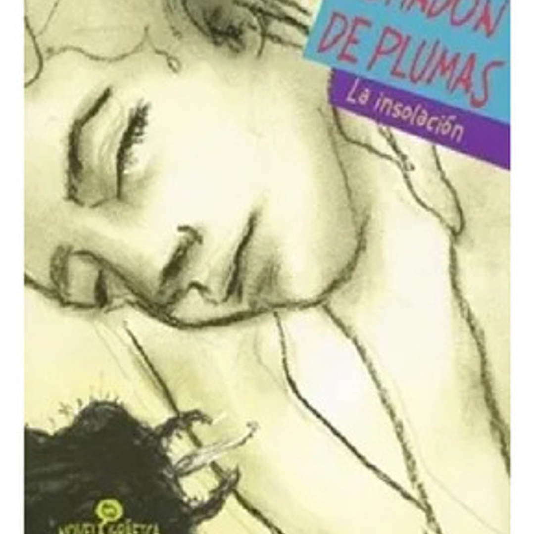 El Almohadon De Plumas. La Insolacion 1