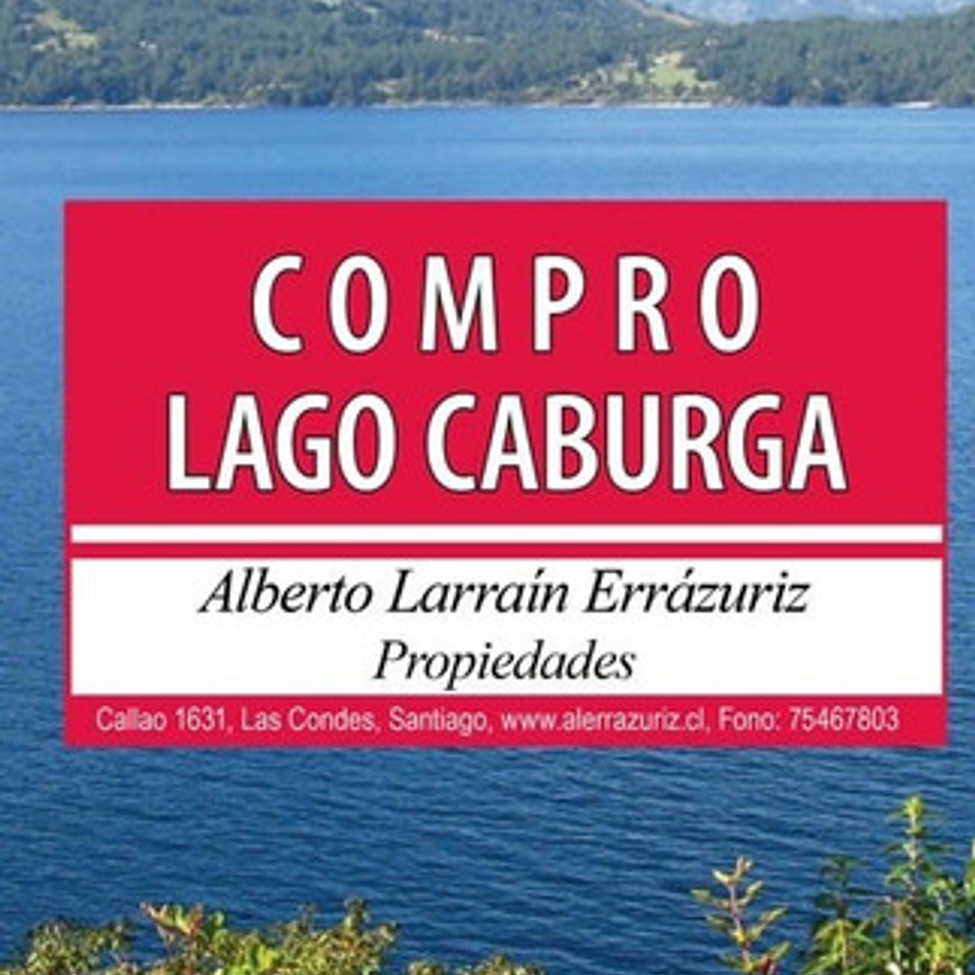 Compro Lago Caburga - Elizabeth Subercaseaux 1