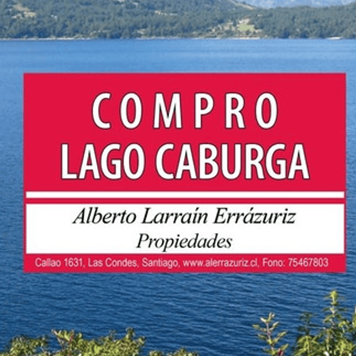 Compro Lago Caburga - Elizabeth Subercaseaux 1