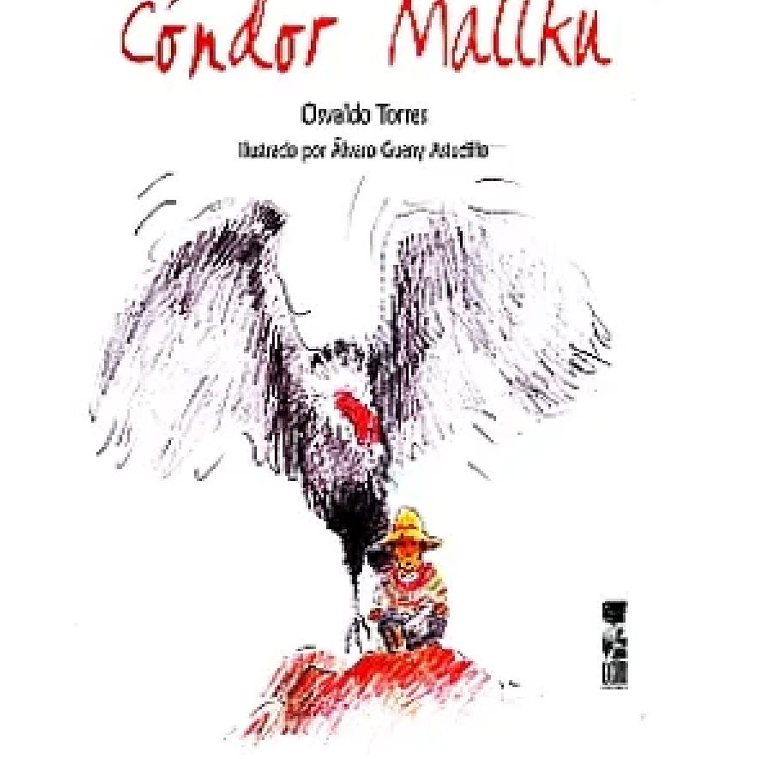 Condor Mallku 1