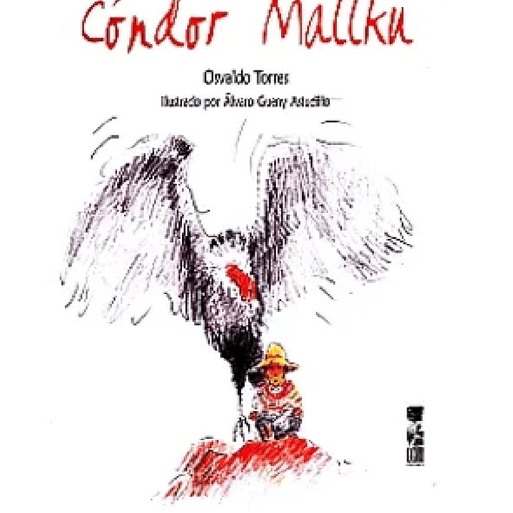 Condor Mallku 1
