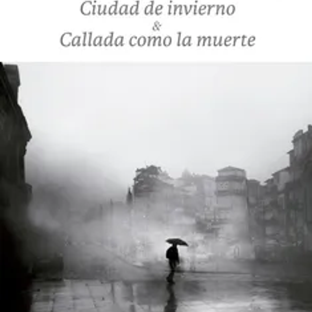 CIUDAD DE INVIERNO Y CALLADA COMO LA MUERTE 1