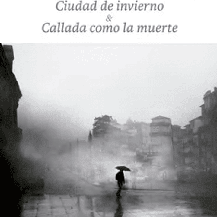 CIUDAD DE INVIERNO Y CALLADA COMO LA MUERTE 1