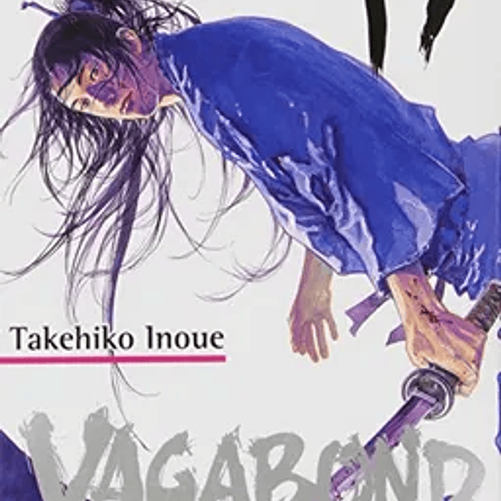 Vagabond 17 1