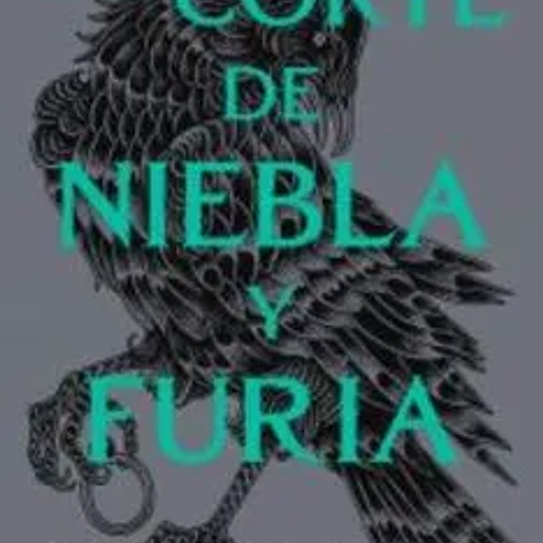 UNA CORTE DE NIEBLA Y FURIA 1