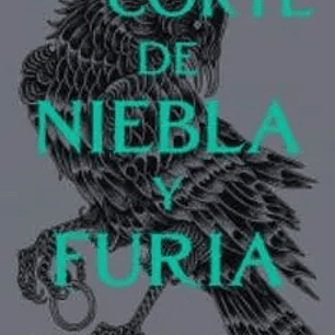 UNA CORTE DE NIEBLA Y FURIA