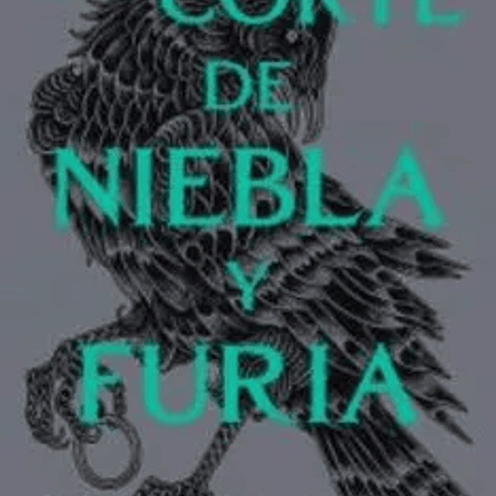 UNA CORTE DE NIEBLA Y FURIA 1