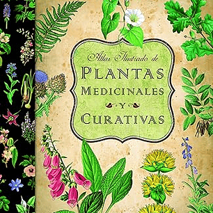 Atlas ilustrado de plantas medicinales y curativas