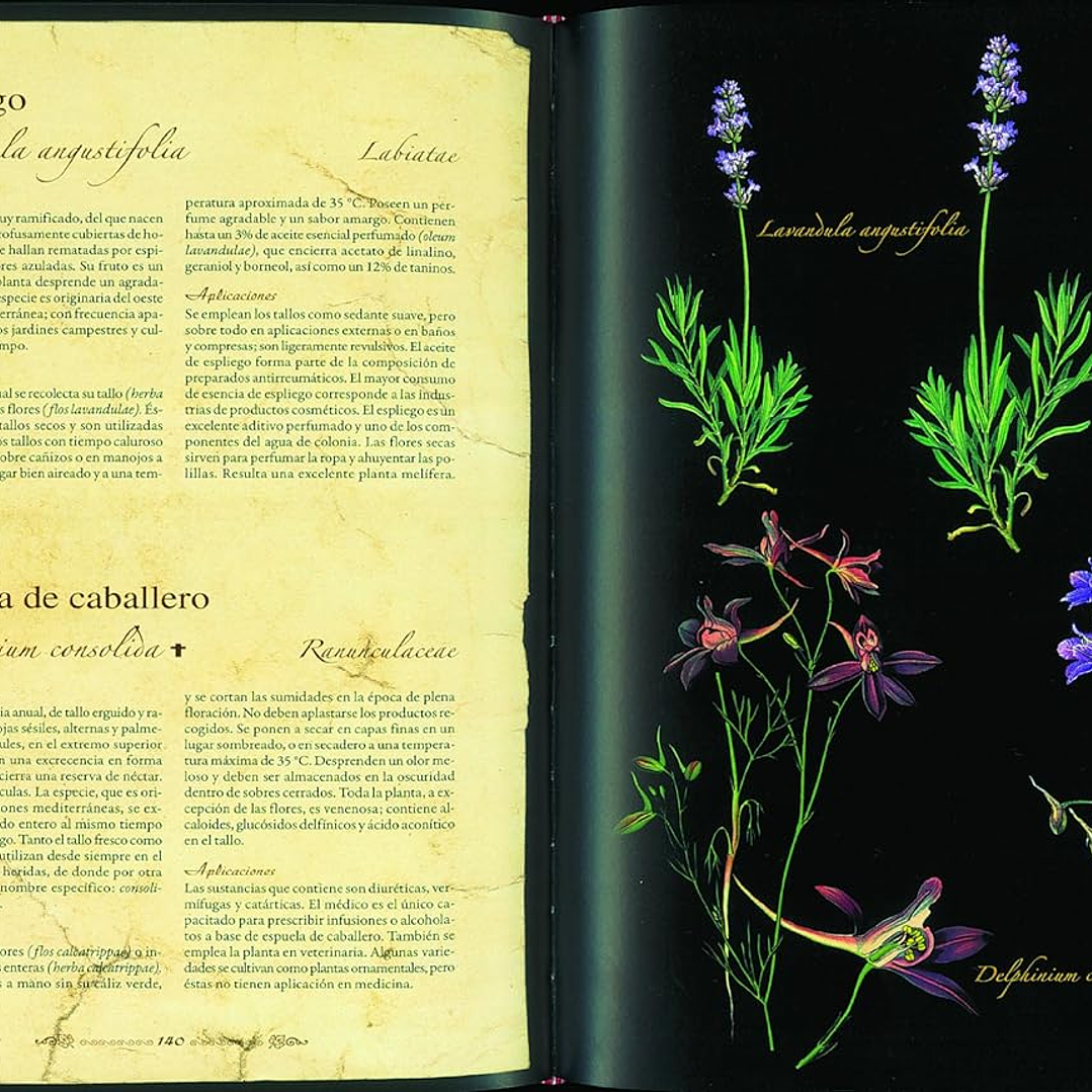 Atlas ilustrado de plantas medicinales y curativas 2