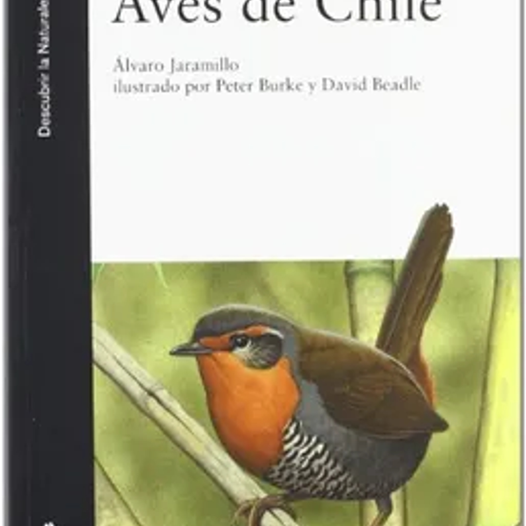 Aves de Chile 1