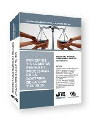 Principios y garantías penales y procesales en la doctrina de la CIDH y el TEDH