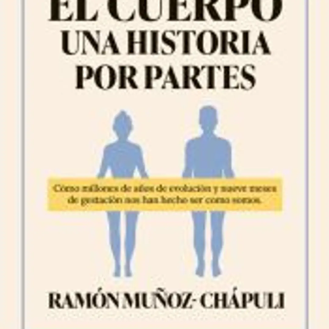 Tu cuerpo, una historia por partes 1