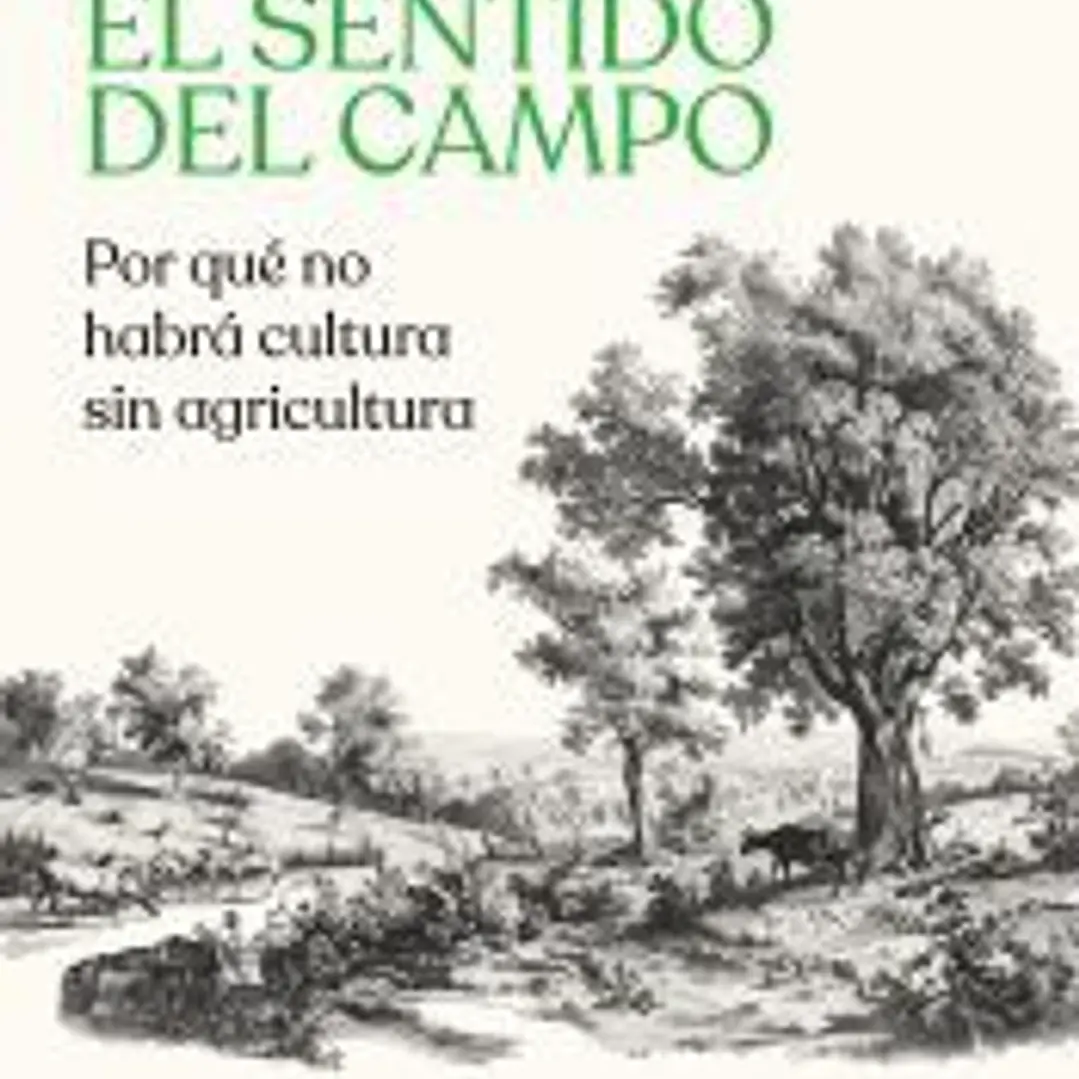 El sentido del campo 1
