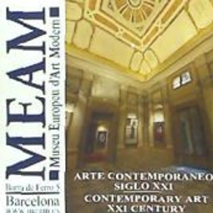 Arte contemporáneo siglo XXI 1