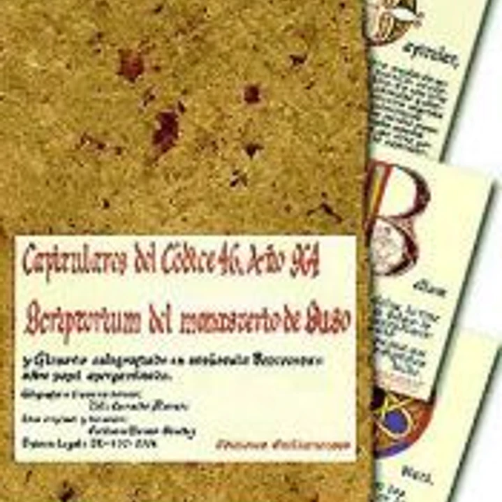 Capitulares del codice 46 1