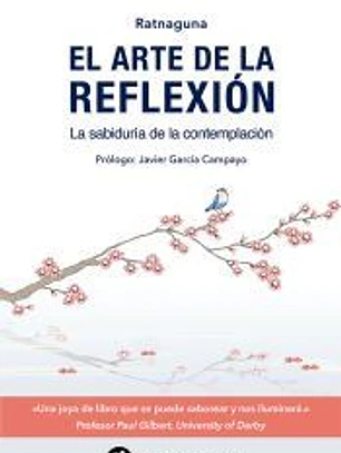 El arte de la reflexión