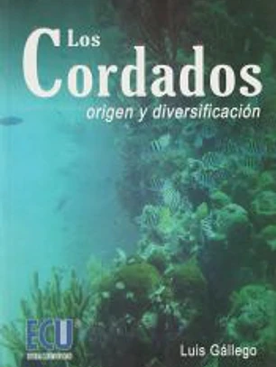 Los Cordados : origen y diversificación