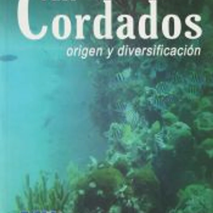 Los Cordados : origen y diversificación 1