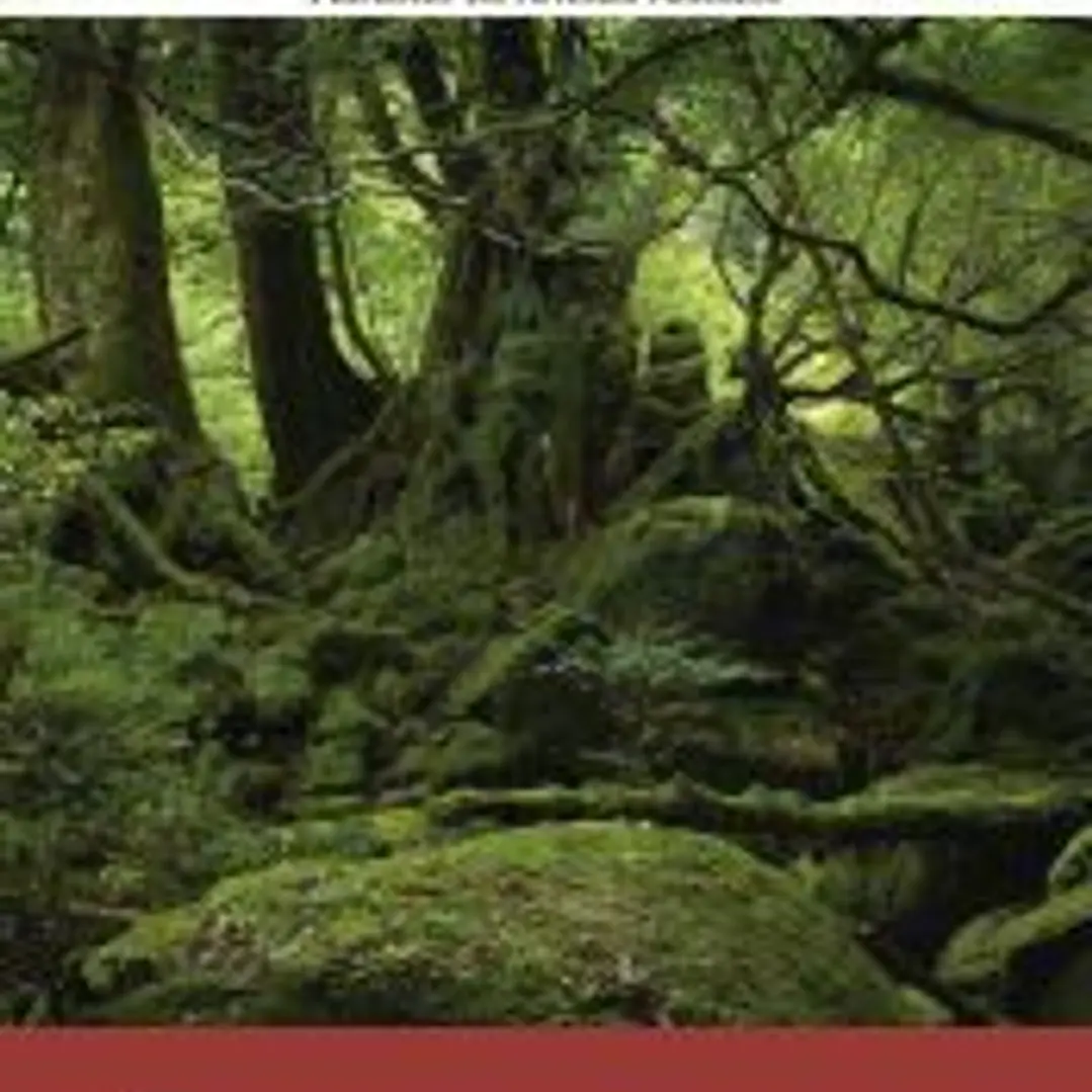 El bosque animado 1