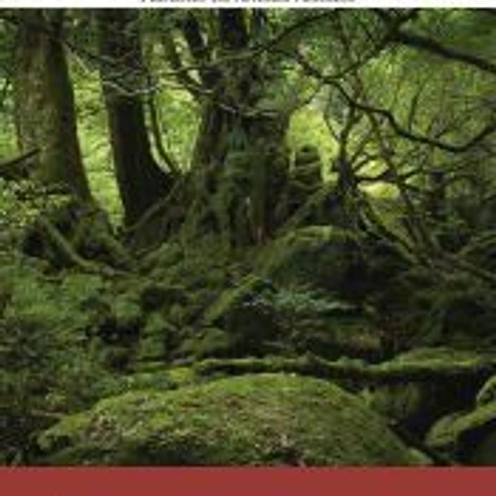 El bosque animado 1