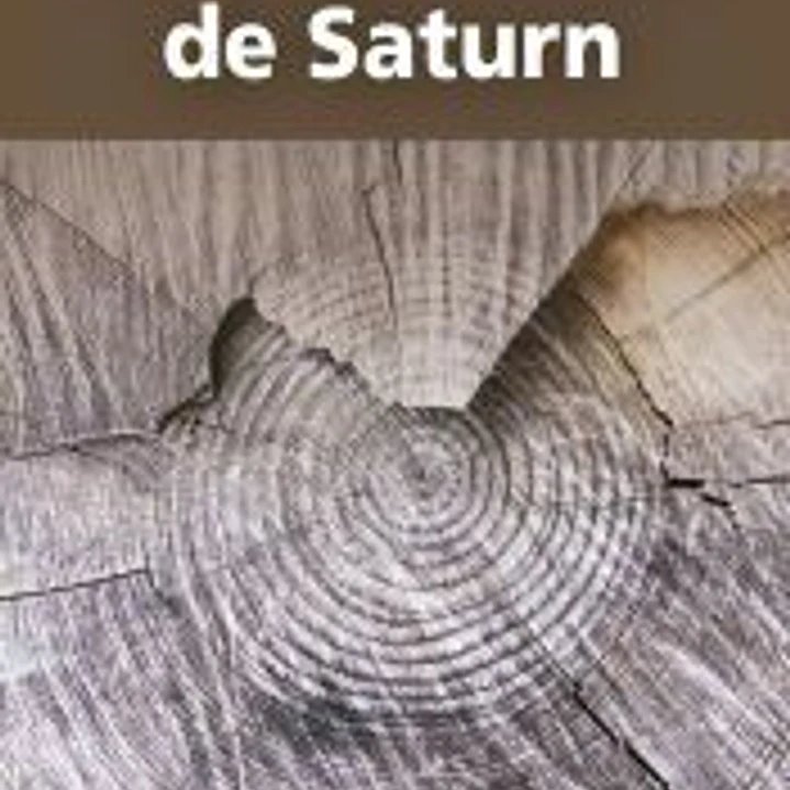 L'empremta de Saturn 1
