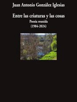 Entre las criaturas y las cosas