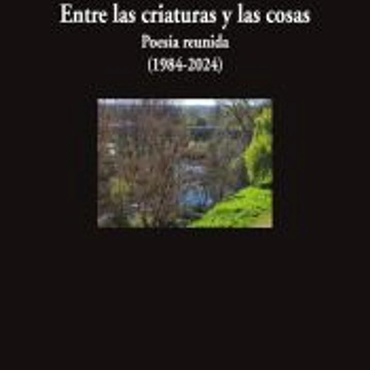 Entre las criaturas y las cosas 1
