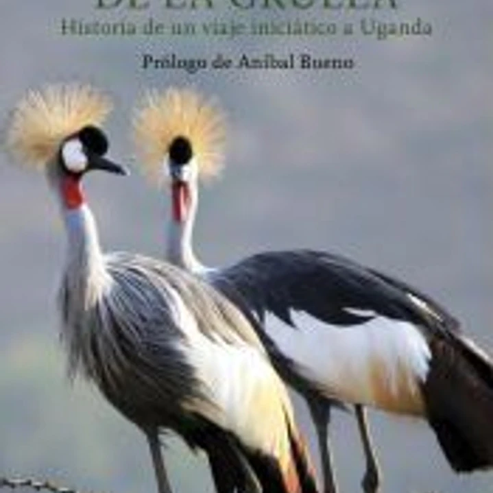 El país de la Grulla 1