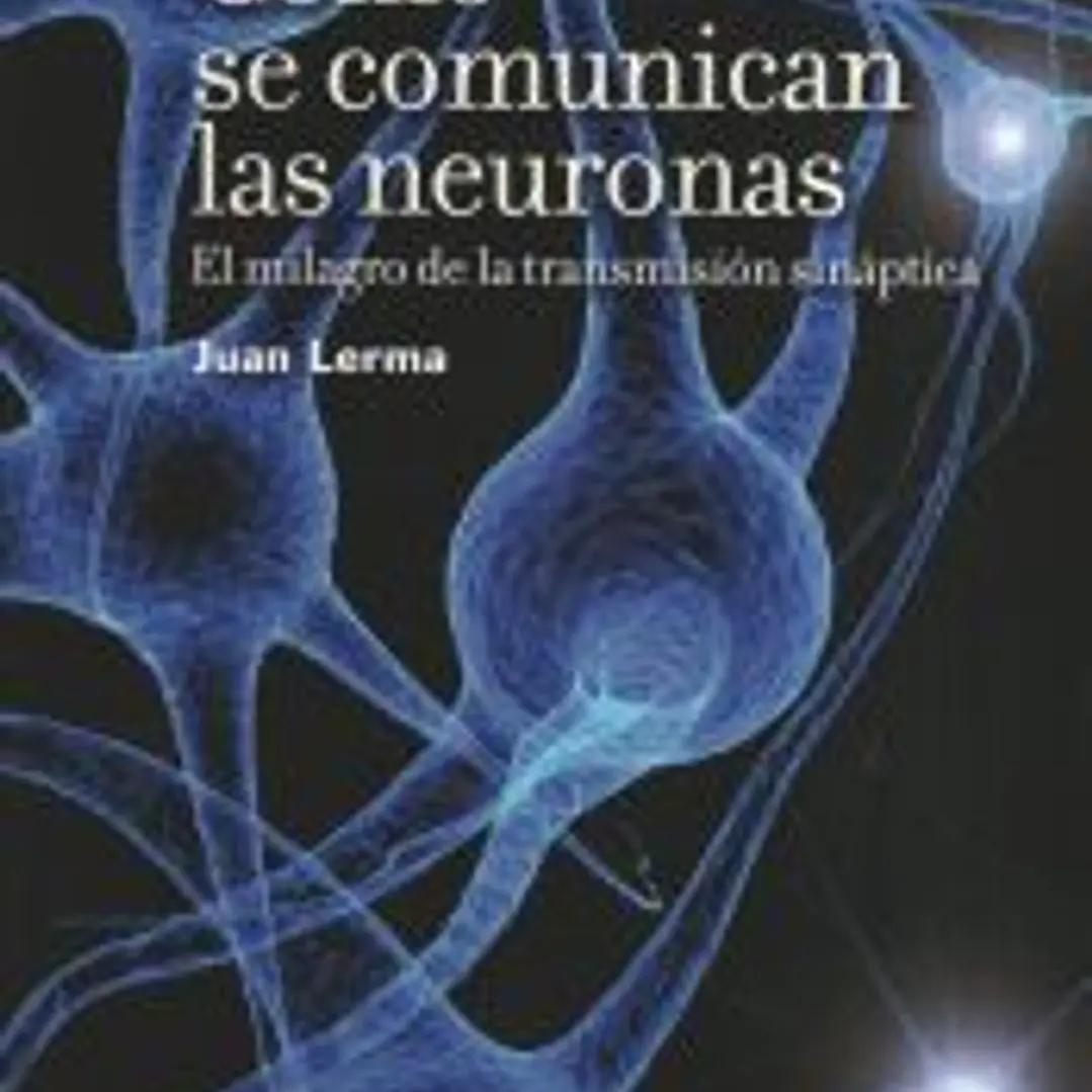 Cómo se comunican las neuronas 1