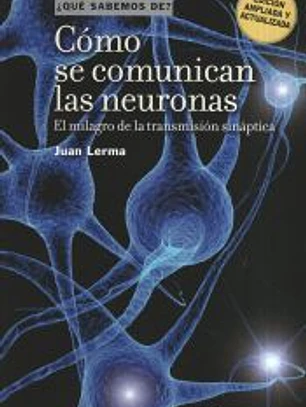 Cómo se comunican las neuronas