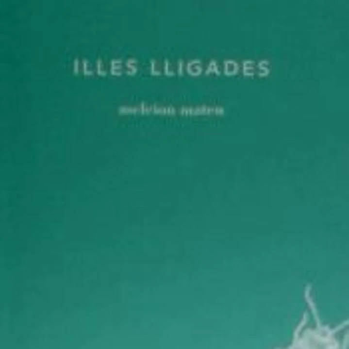 Illes lligades 1