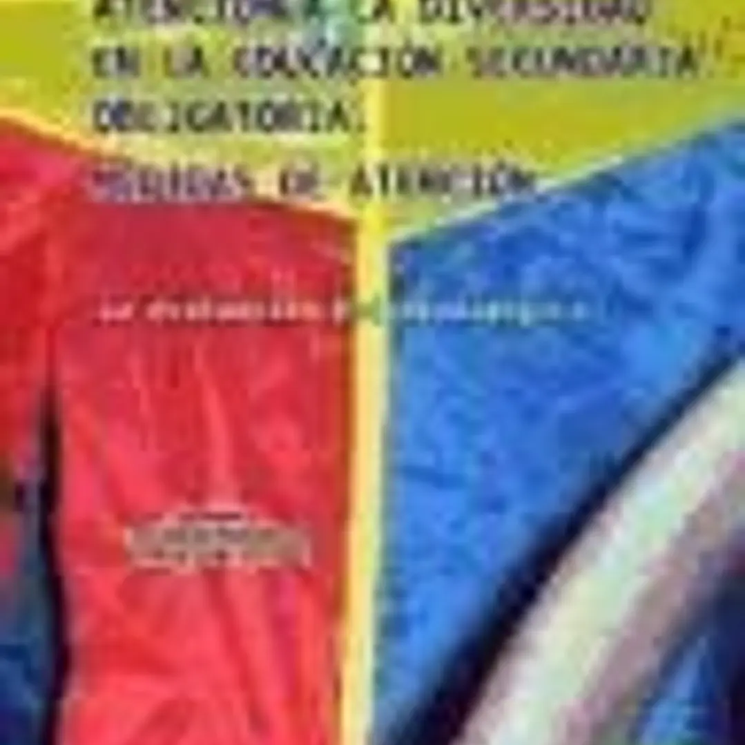 La atención a la diversidad en la educación secundaria obligatoria 1