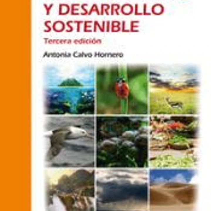 Estrategia medioambiental y desarrollo sostenible 1