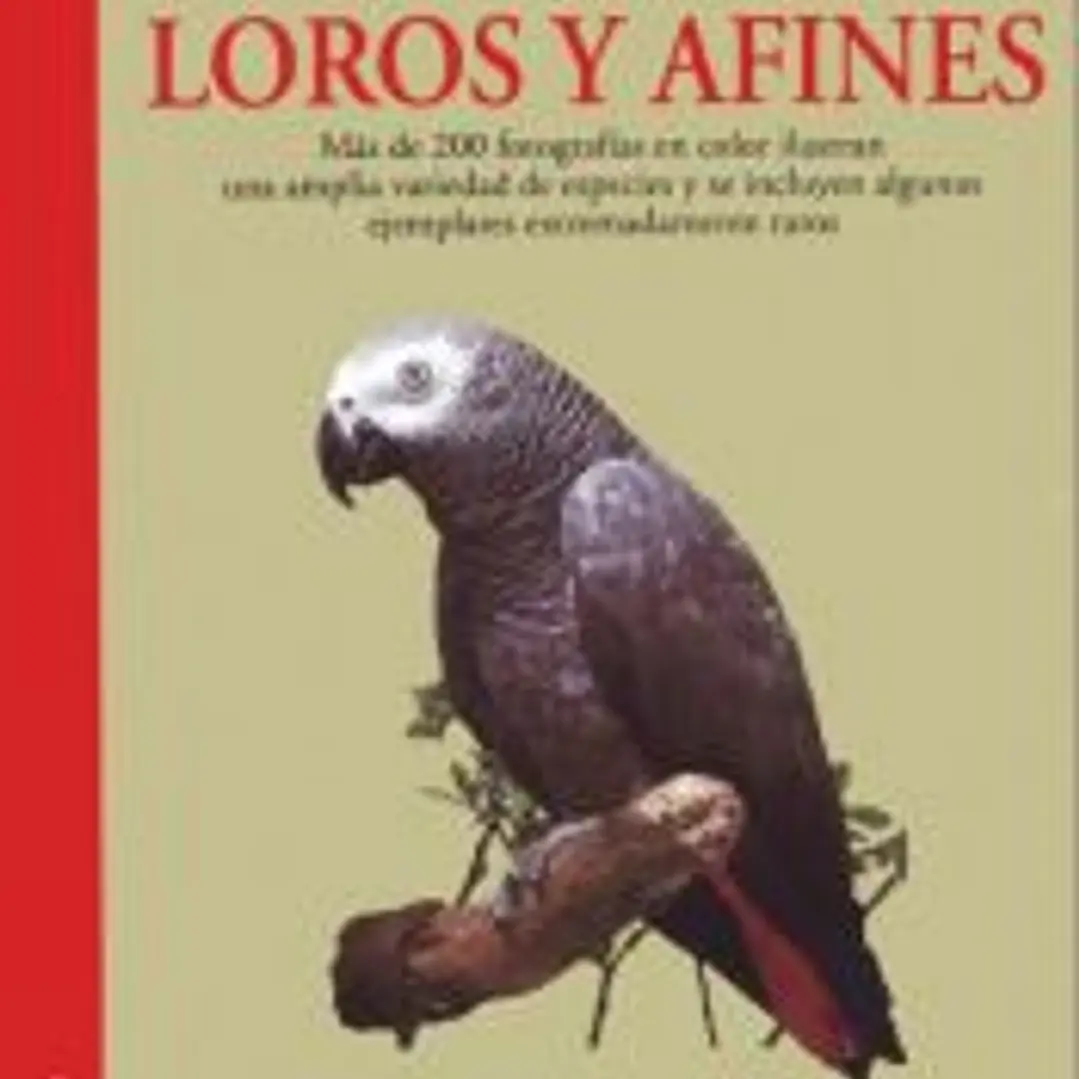 LOROS Y AFINES 1