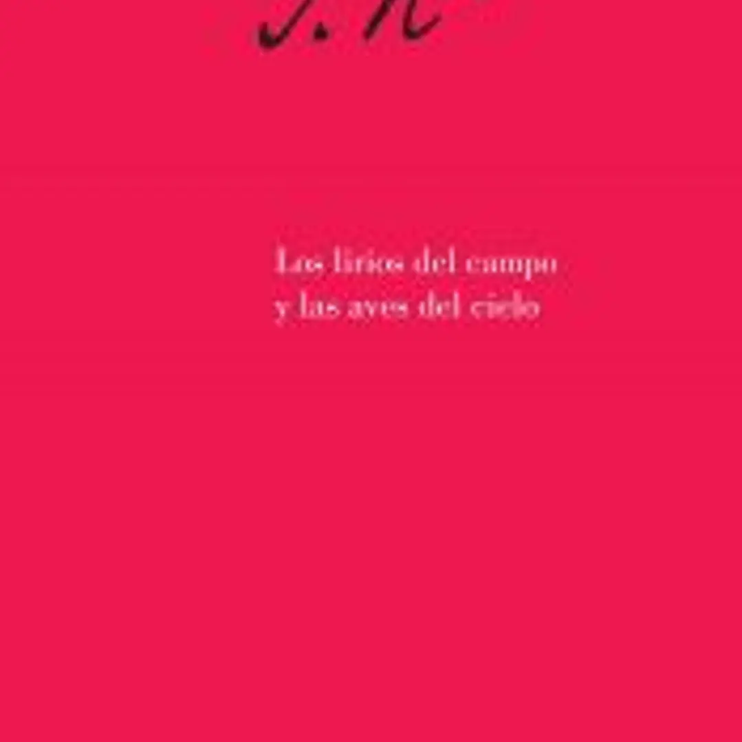 Los lirios del campo y las aves del cielo 1